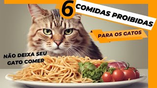 6 Alimentos Proibidos para os Gatos! Porque os os Gatos não podem comer esses alimentos?