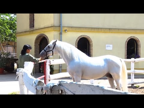 BUNFORD - MESTO