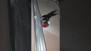 Can your Metal Cutters Work Backwards? Can your Metal Cutters Work Backwards?
