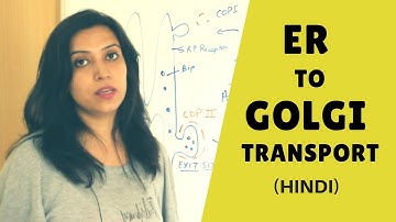 Endoplasmic Reticulum (ER) To GOLGI TRANSPORT