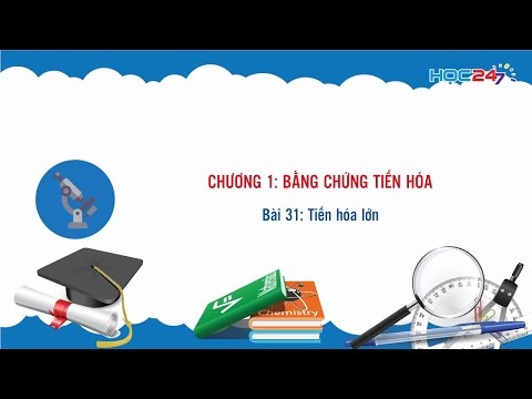 Video [Sinh học 12] Bài 31: Tiến hóa lớn - YouTube
