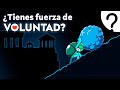 ¿Qué es la FUERZA DE VOLUNTAD y cómo tener MÁS?