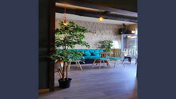 Vivacious Backdrops for Comfortable Cafes