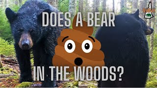 Does a Bear Poop in the Woods?