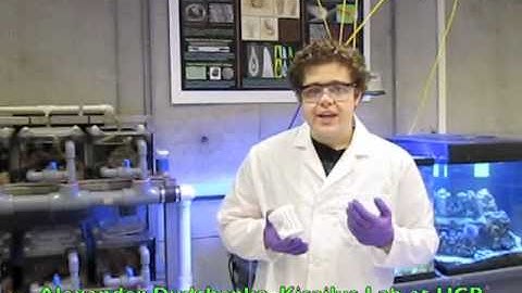 Alexander Dudchenko - Kisailus Lab - Photocatalysts