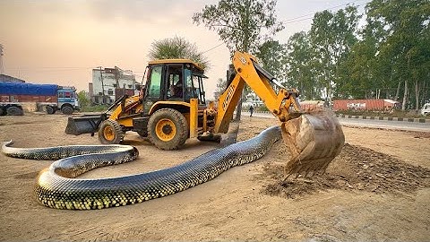 JCB 3dx Backhoe fully Loading Mud in Mahindra 475 JCB khudai work JCB video #jcb #jcbvideo #farming