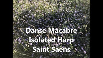 Saint Saens - Danse Macabre Isolated Harp