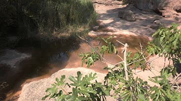 Life Trivers project