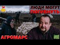 Курганский Бройлер: бомба замедленного действия | Агромарс | Latifundist