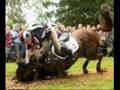 Horse accidents