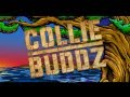 Collie Buddz - Blind to You Ft. New Kingston (Live) - 2013 Cali Roots Music & Arts Festival
