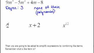 Identifying Degree and Name of Polynomials 4.1