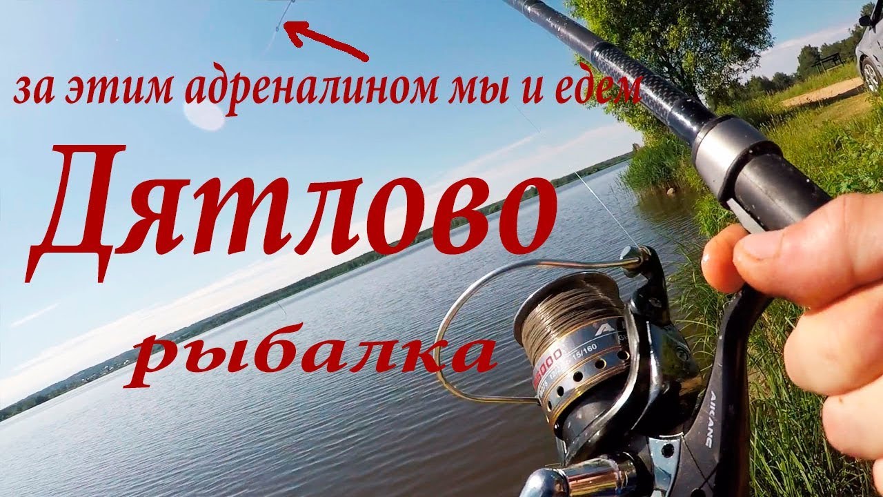 Авто рыбалка бдо
