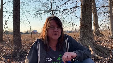 Forest floor soil sample-testing seed germination Part 1