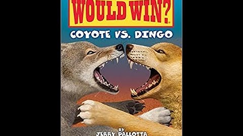 Read with Chimey: Who Would Win? Coyote vs. Dingo read aloud