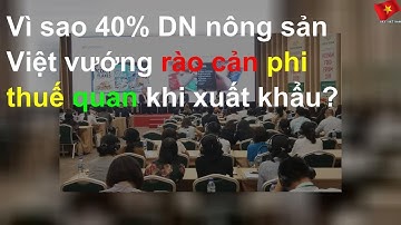 Vì sao 40% DN nông sản Việt vướng rào cản phi thuế quan khi xuất khẩu?