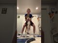 #rat trend with my dog￼