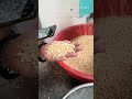 Soyabean peeling machine/soyabean skin removing machine/soyabean peeler/how to remove soyabean skin