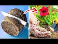 Smart hacks to easily grow your own plants