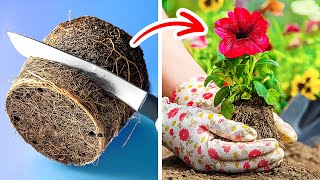SMART HACKS TO EASILY GROW YOUR OWN PLANTS