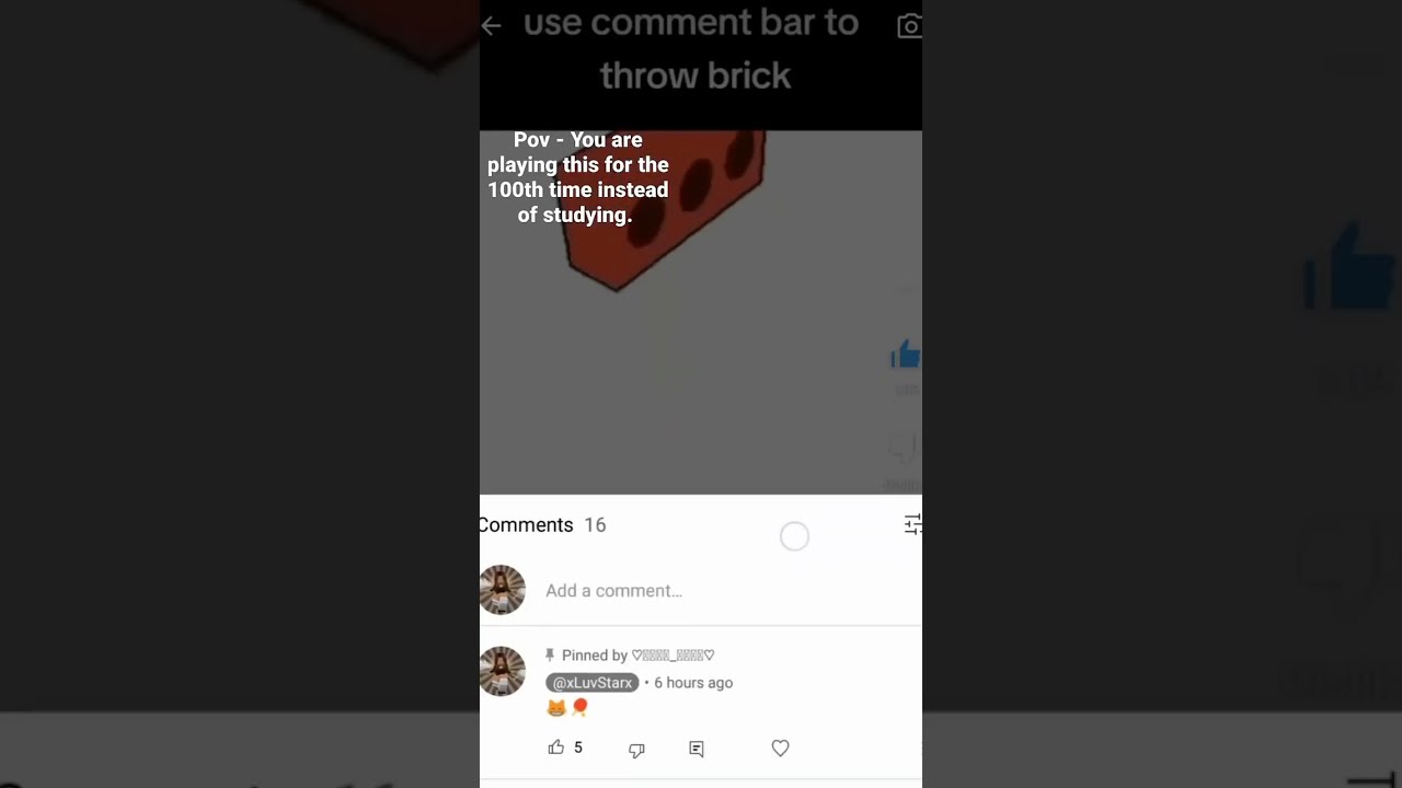  Memes Helpmemakethismakesense Amnewbutnottheleast Funny Cat