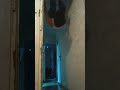 ربك شاوالا هذا ربك شاوالا هذا