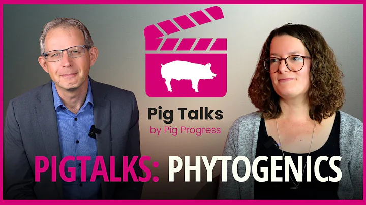 PigTalks: Tackling post-weaning diarrhoea with phytogenics
