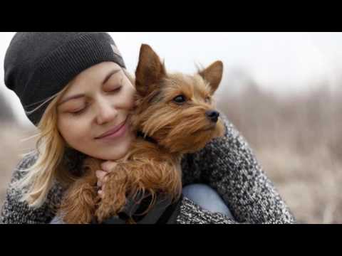 Video: Come Scegliere Un Dog Sitter?