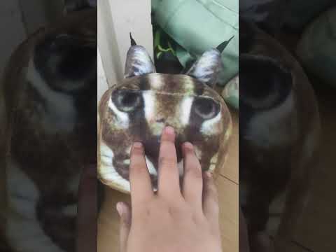 Floppa jumpscare 2