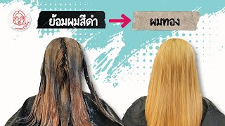 ย้อมผมเป็นสีดำแล้ว ย้อมสีผมเป็นสีสว่างอีกครั้งได้มั้ยครับ? _yosangOPPA screenshot 5