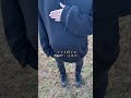 出産２日前に起きた不思議な出来事　#shorts