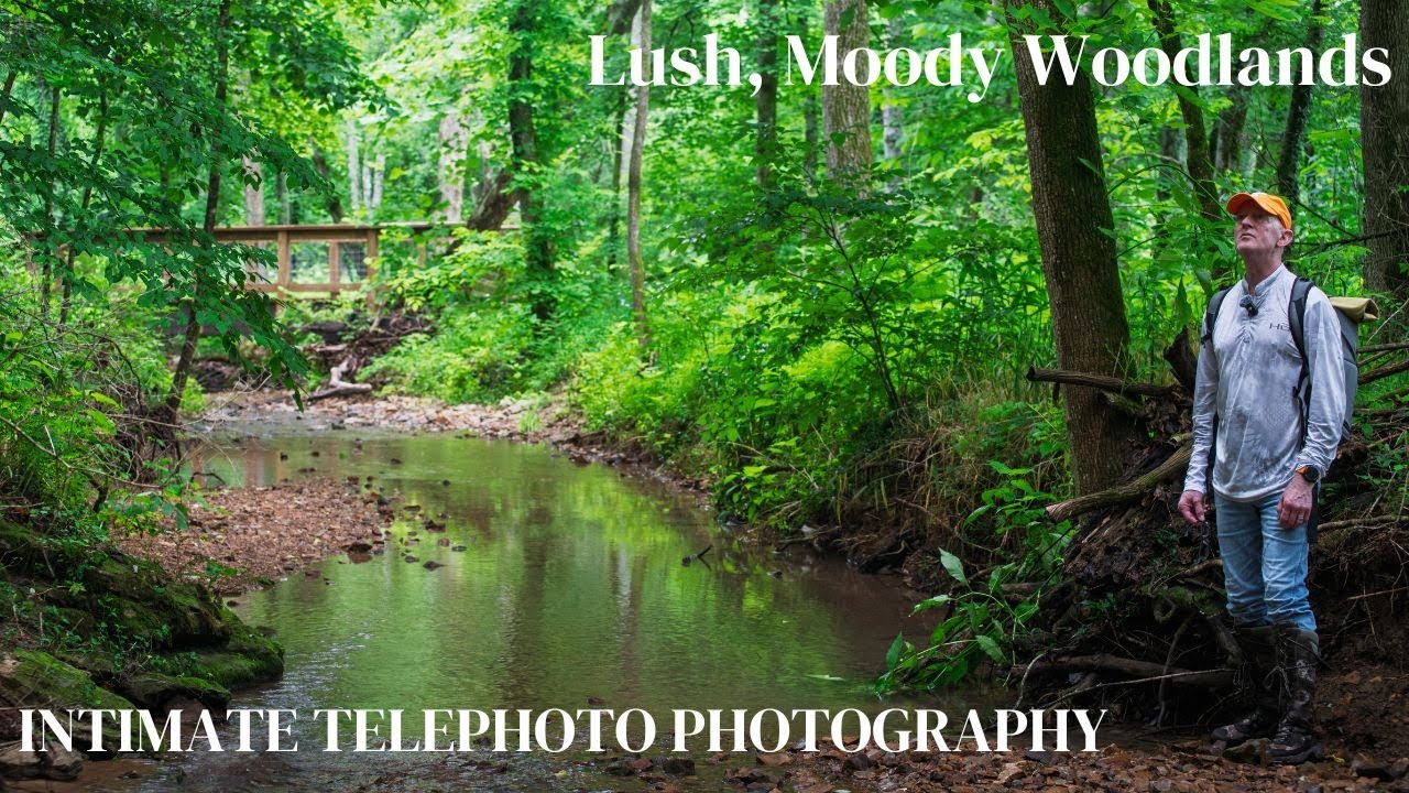 Isolating Beauty in the Forest – Telephoto Landscape Photography Vlog