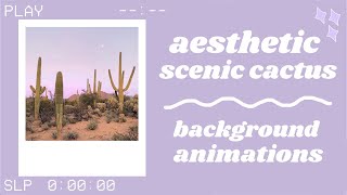 aesthetic cactus plant background animations part 2