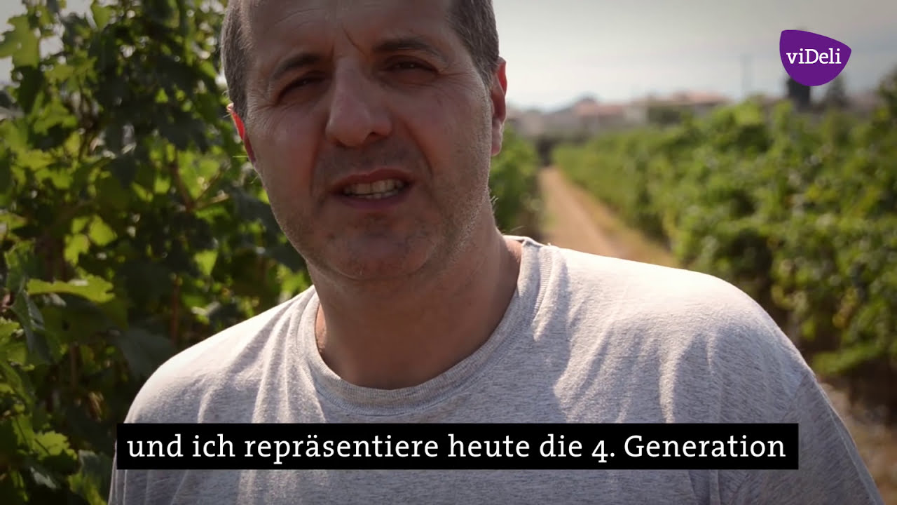 Cantine Lenotti Wein Bardolino Gardasee