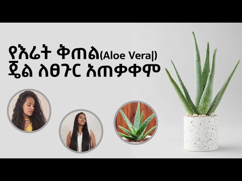 ቪዲዮ: ባለ አራት ቅጠል ኦክሲሊስ