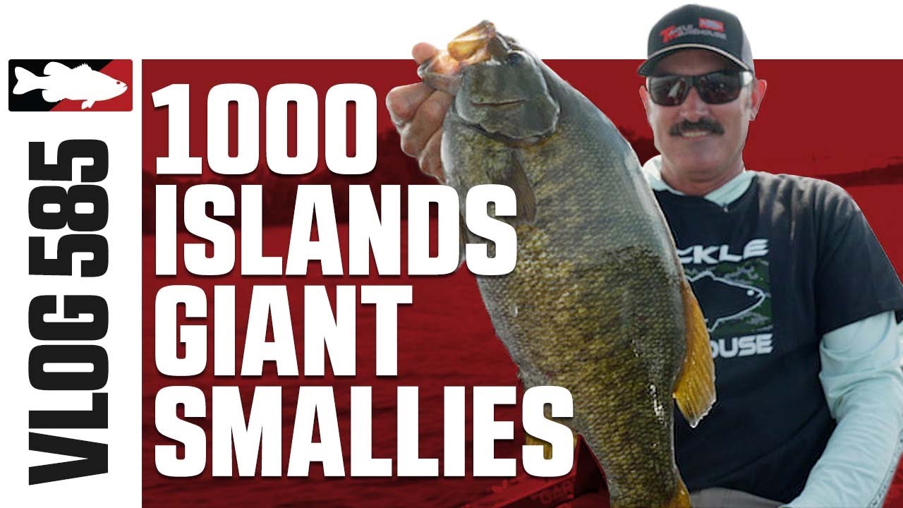 Video Vault - 1000 Islands Giant Smallmouth with Lintner