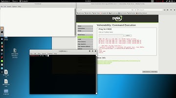 DVWA Command Execution Low Reverse Shell #dvwa