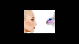 Hayvanlara Şiddet Hayır