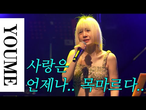 [리턴 오브 더 레전드] 유미 - 사랑은 언제나 목마르다.