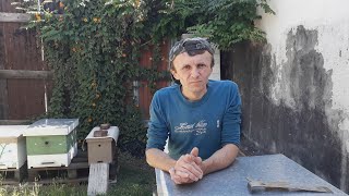 картинка: Уникальный способ подсадки маток // Пчеловодство Аргентины