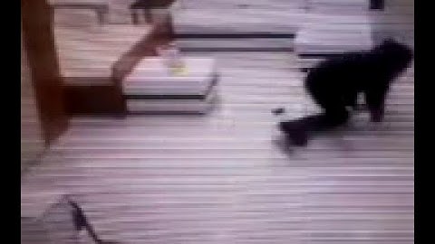 Đen đủi cho tên cướp bị bắt ngay cửa hàng vì tội vội vàng bị trượtchân