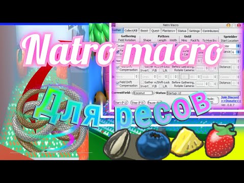 как фармить много ресурсов при помощи natro macro? бешеная прокачка/bee swarm simulator