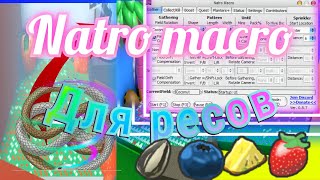 как фармить много ресурсов при помощи natro macro? бешеная прокачка/bee swarm simulator