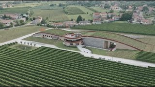 Download Mp3 The desidere to innovate preserving the history of the winery, Della Toffola for Giusti Wine Gudang lagu Download Mp3 The desidere to innovate preserving the history of the winery, Della Toffola for Giusti Wine