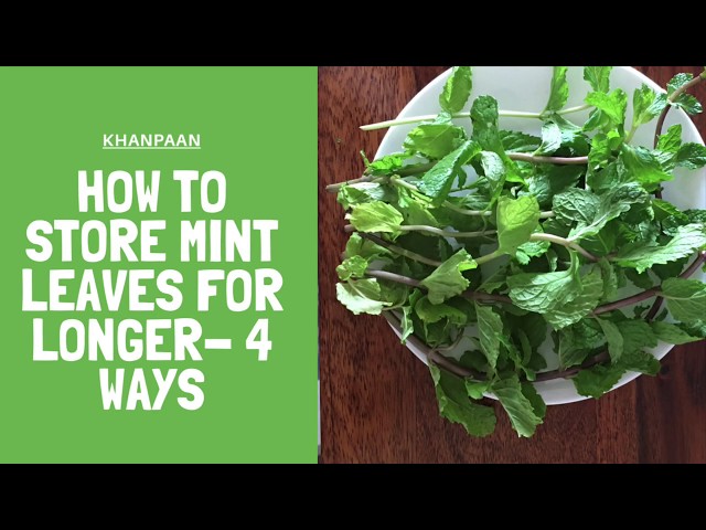 How to Store Mint Leaves (2 Ways)