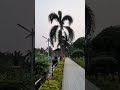 #ecopark #patna #bihar #biharvibes #highlight  #beautiful #park #travel #trending #trendingshorts
