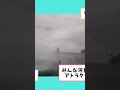 海の王者シャチさん #ゆっくり解説 #2chほのぼのスレ #2chほのぼの #動物