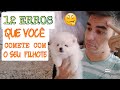 12  ERROS QUE VOCÊ COMETE COM SEU FILHOTE