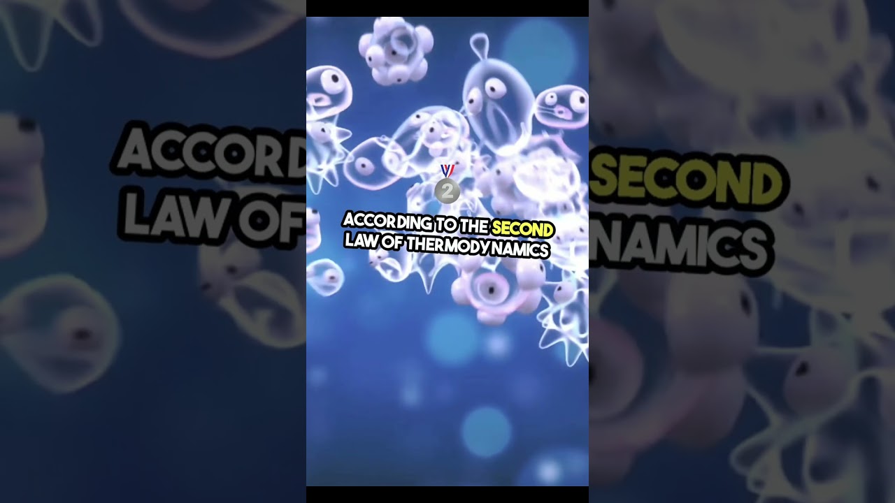 Entropy is a Chaos or Order? : Nature's Mysterious Order! 🌀  