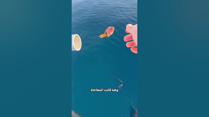 شاهد سرعة سمكة التونة.. 🐟 #Shorts
